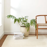 dash albert holmstead da2209 ivory woven flatwoven wool rug