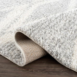 Hauteloom Gala HGACGALAB31 Gray Machine Made Polypropylene Rug