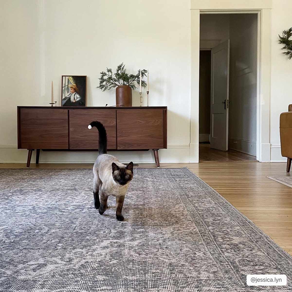 Hauteloom Greenpoint GRNPN Beige Machine Made Chenille-Polyester Rug