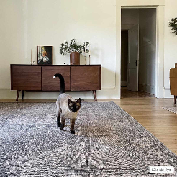 Hauteloom Greenpoint GRNPN Beige Machine Made Chenille-Polyester Rug