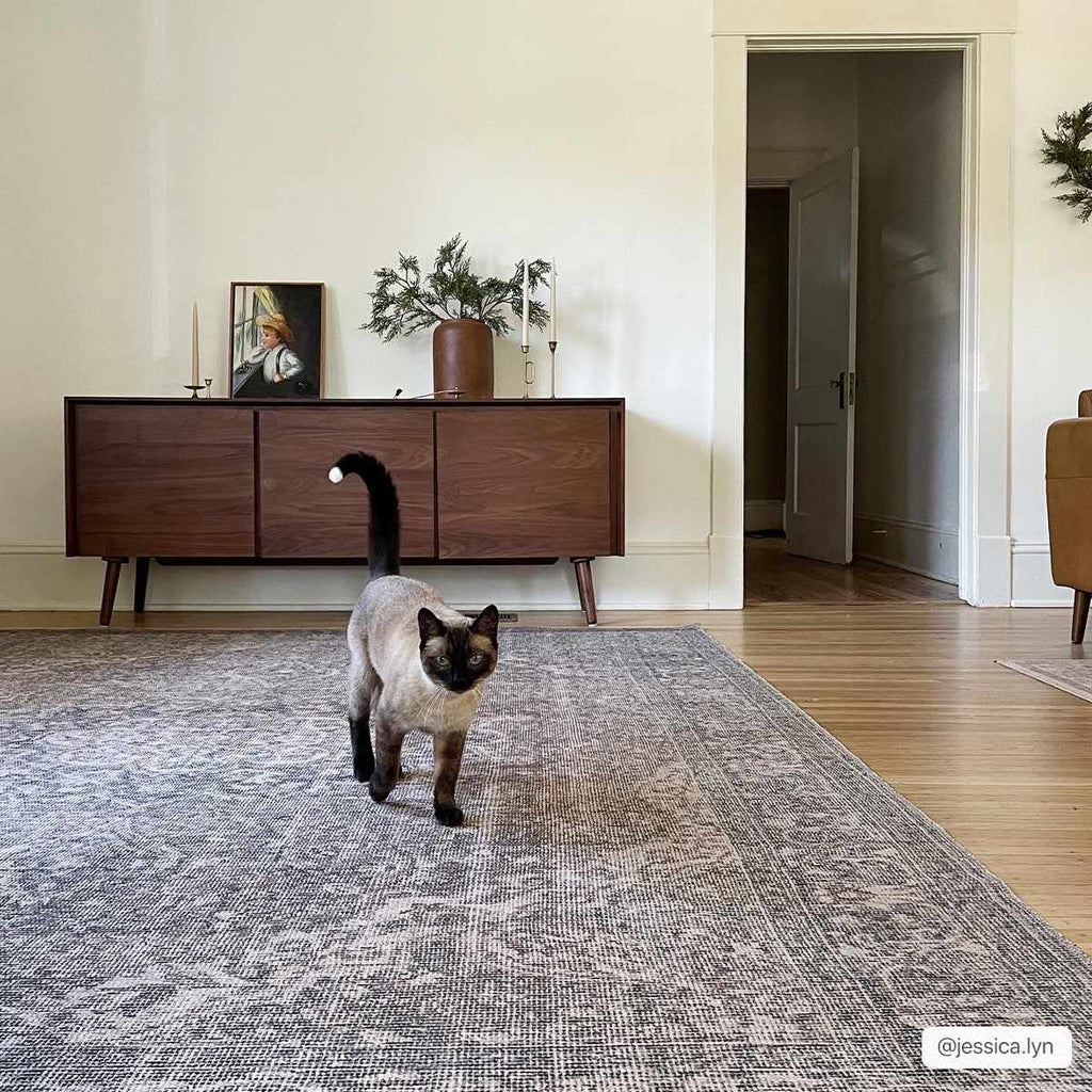 Hauteloom Greenpoint GRNPN Beige Machine Made Chenille-Polyester Rug