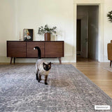 Hauteloom Greenpoint GRNPN Beige Machine Made Chenille-Polyester Rug