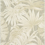 nourison aloha alh43 ivory sage rug