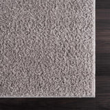 Hauteloom Judy SAFAJUDY882 Light Gray Machine Made Polyester Rug