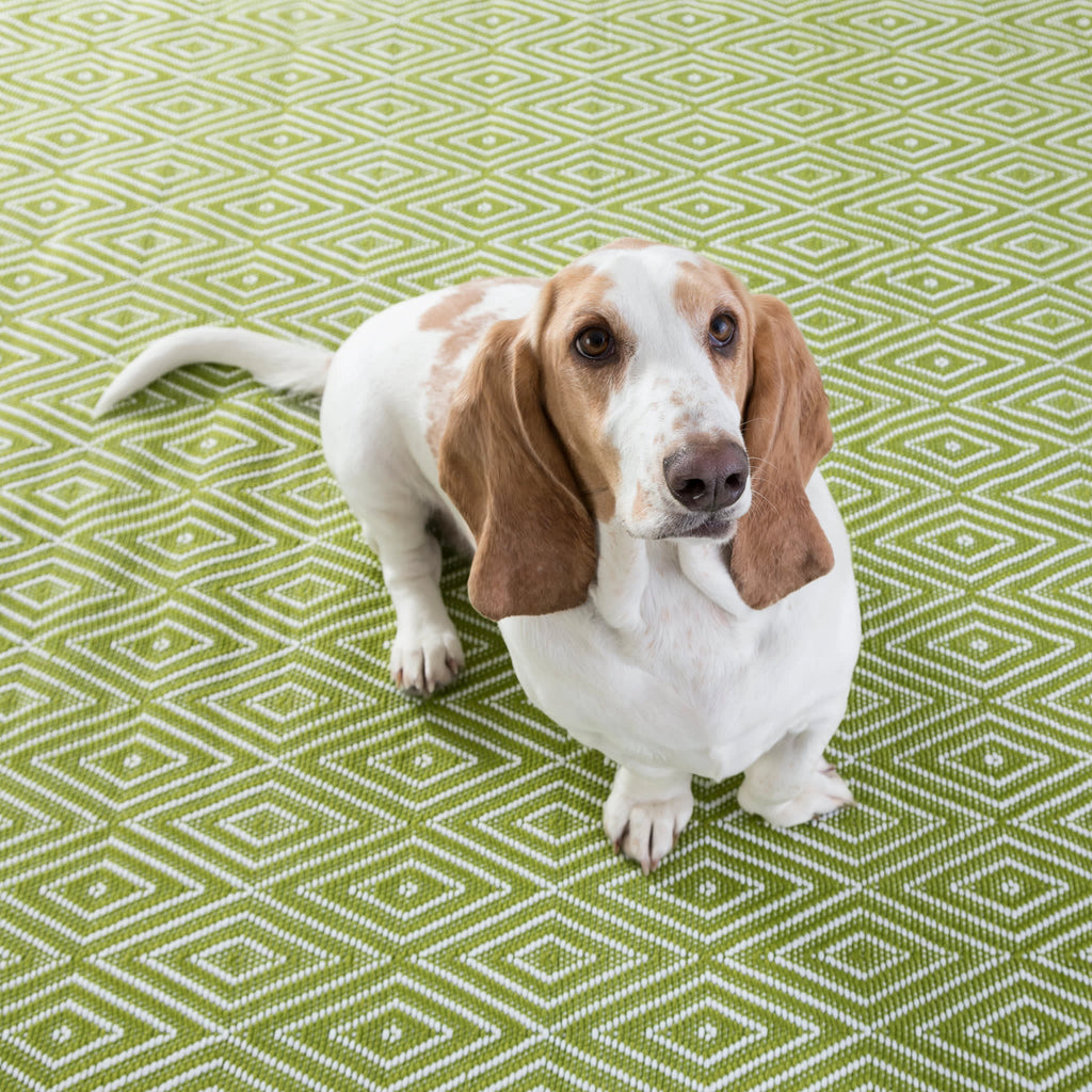dash albert diamond rdb100 sprout rug
