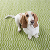 dash albert diamond rdb100 sprout rug