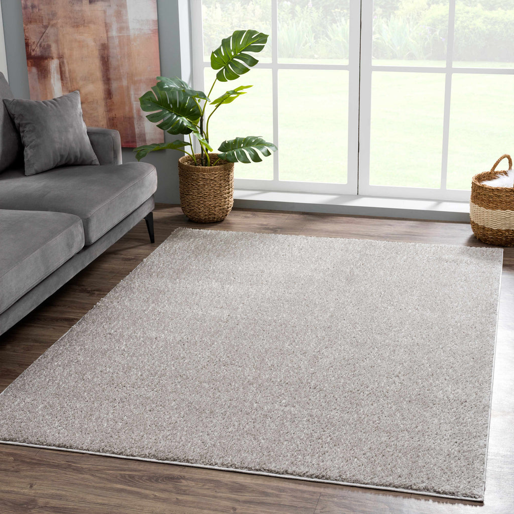 Hauteloom Judy SAFAJUDY882 Light Gray Machine Made Polyester Rug