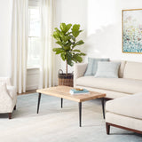 dash albert pandora da1343 sky rug