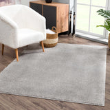Hauteloom Judy SAFAJUDY882 Light Gray Machine Made Polyester Rug