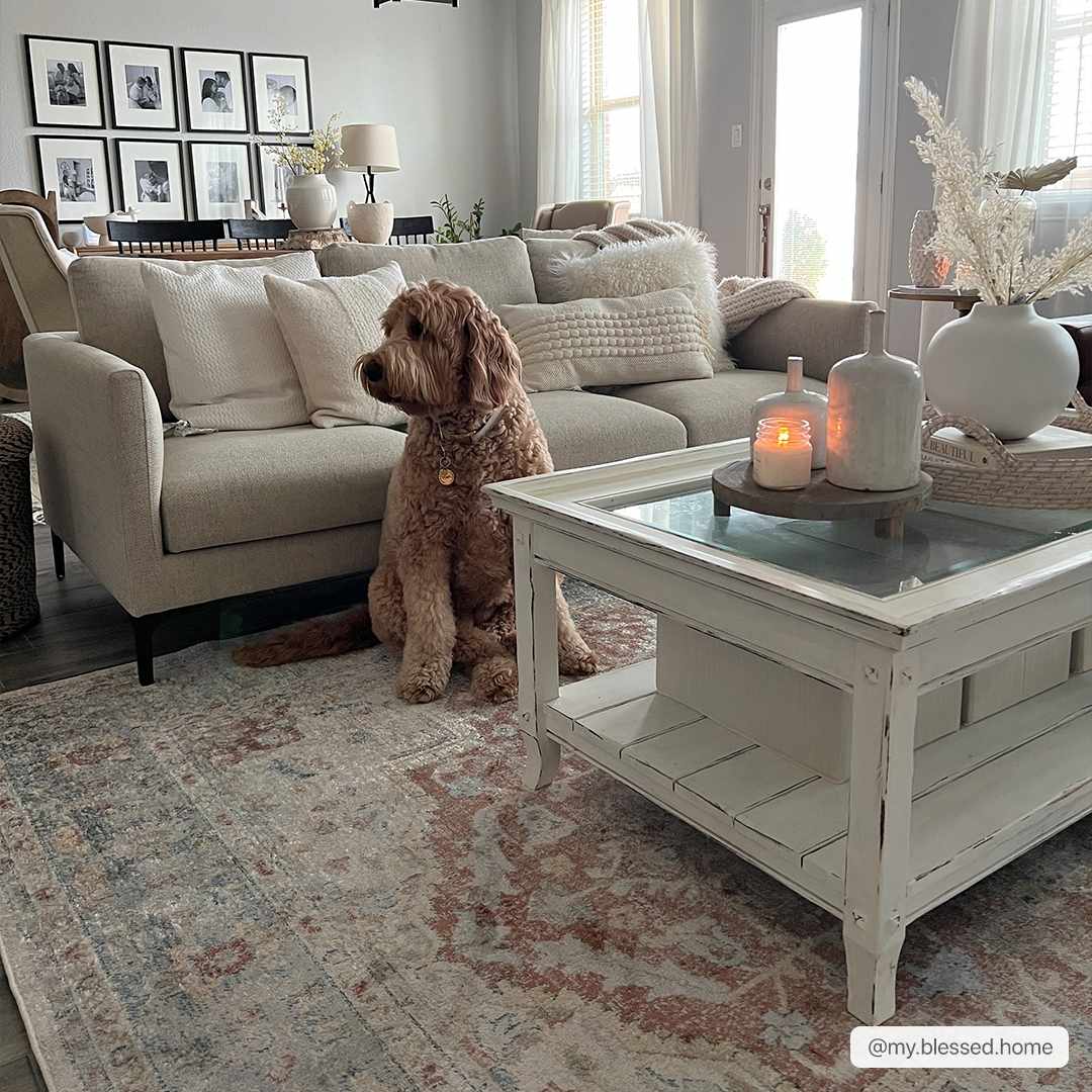 Hauteloom Emke SLLIEMKE8A2 Gray Machine Made Polyester Rug