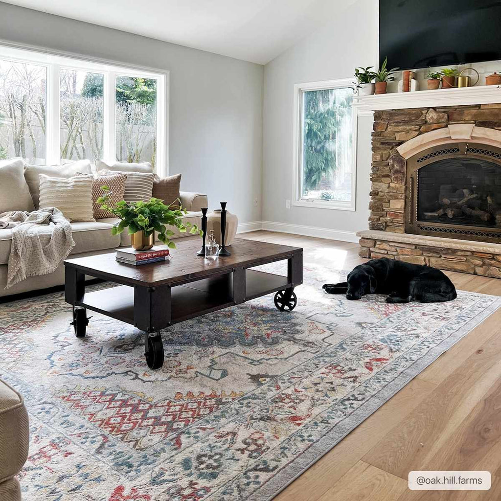 Hauteloom Haymond HAYMO Taupe Machine Made Polypropylene Rug