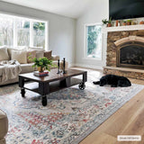 Hauteloom Haymond HAYMO Taupe Machine Made Polypropylene Rug