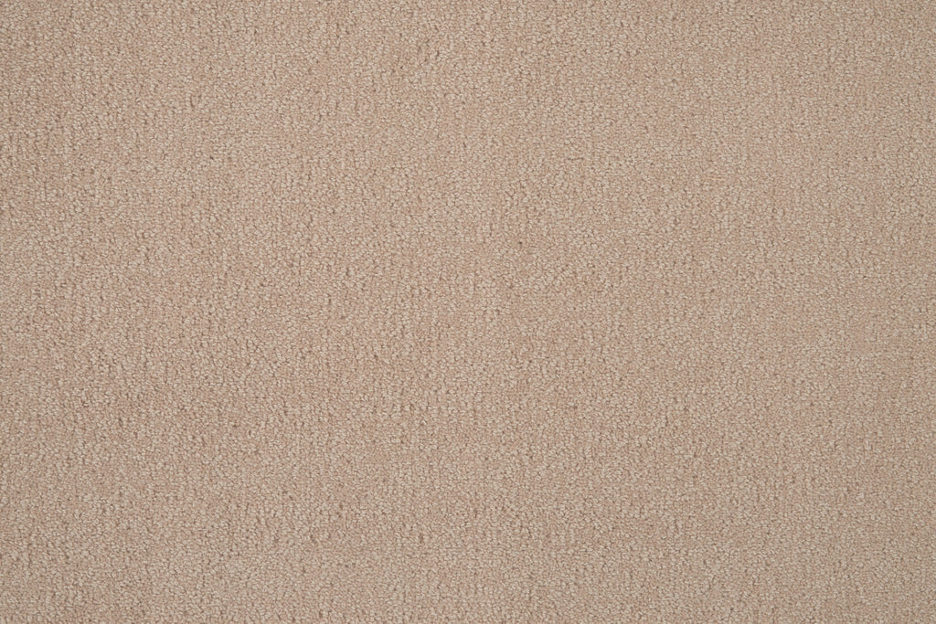 rugs done right custom majesty 2 majs2 brush rug