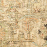 nourison heritage vine htv01 beige rug