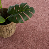 Hauteloom Judy SAFAJUDY870 Pink Machine Made Polyester Rug