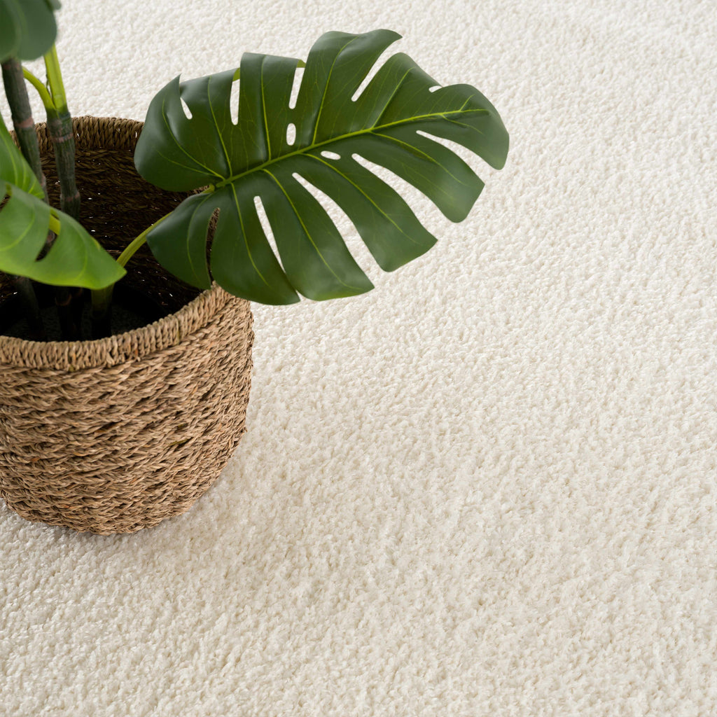 Hauteloom Judy SAFAJUDY890 Off White Machine Made Polyester Rug
