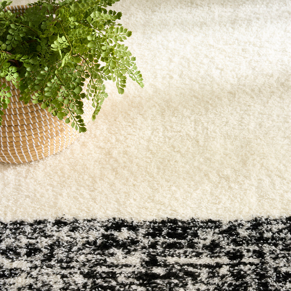 nourison pacific shag pcs02 ivory black rug