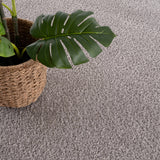 Hauteloom Judy SAFAJUDY882 Light Gray Machine Made Polyester Rug