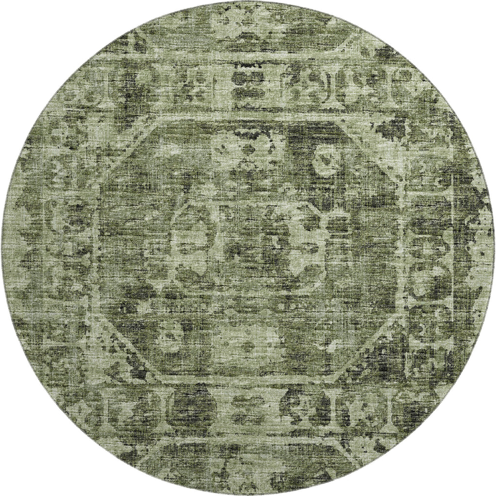 dalyn aberdeen ab2 cactus rug