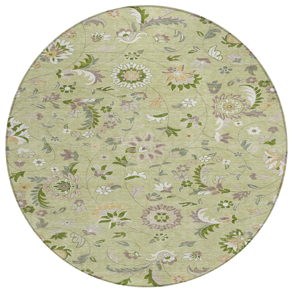 addison chantille acn1006 aloe rug