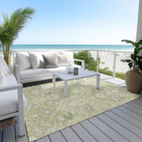 addison chantille acn1009 aloe rug