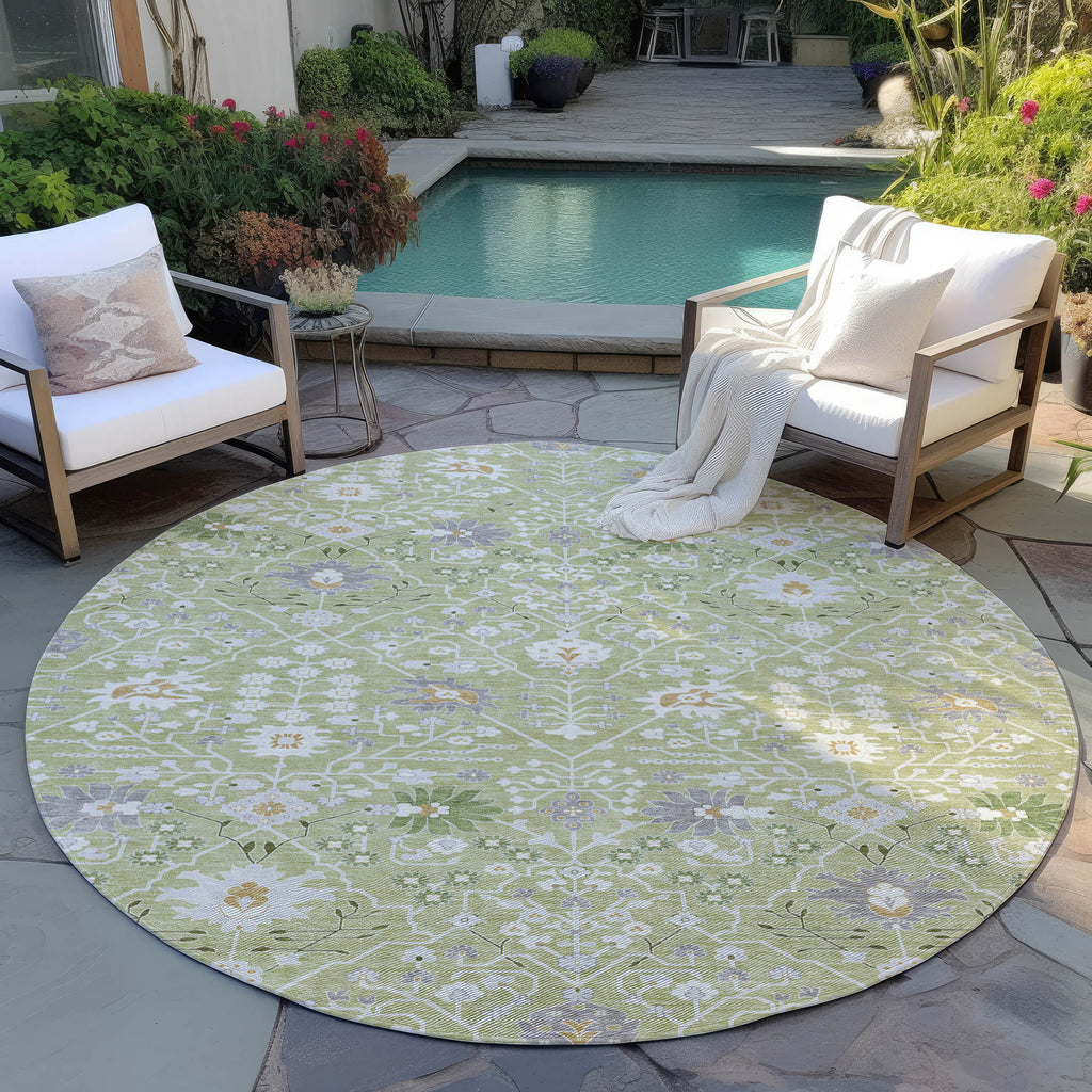 addison chantille acn1009 aloe rug