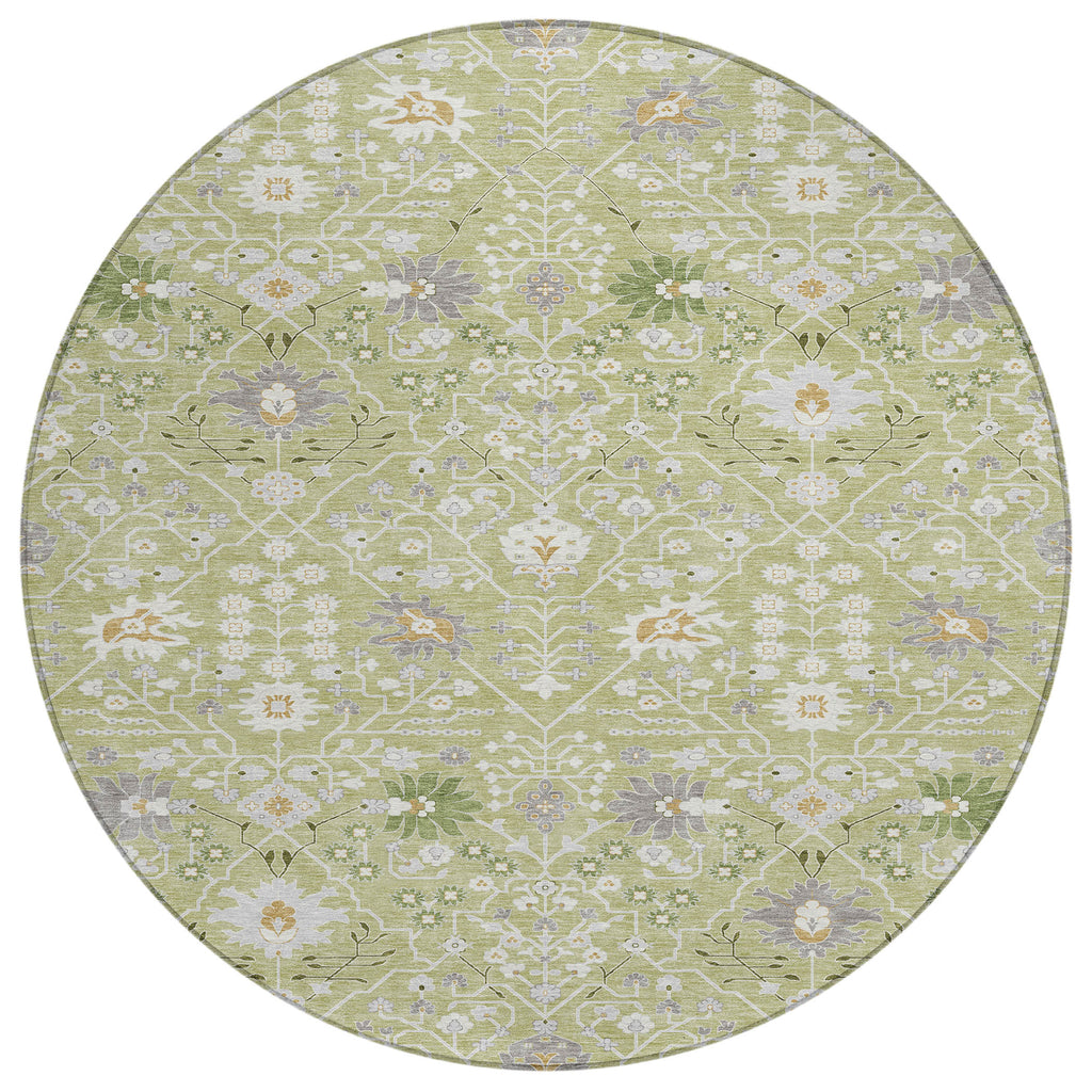 addison chantille acn1009 aloe rug