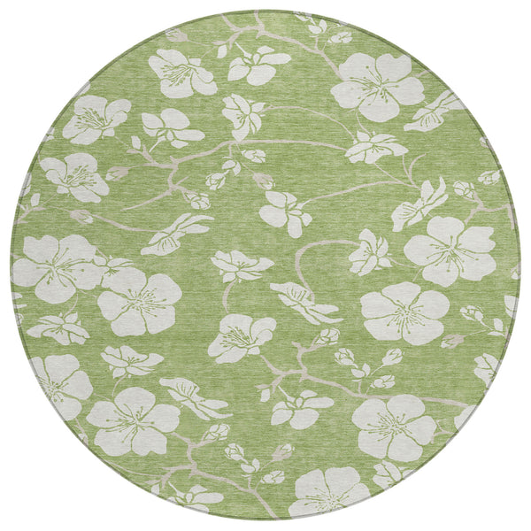 addison chantille acn1032 aloe rug