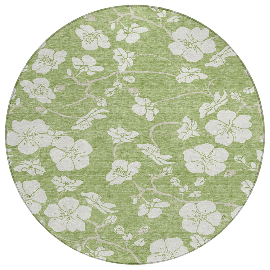 addison chantille acn1032 aloe rug