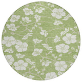 addison chantille acn1032 aloe rug