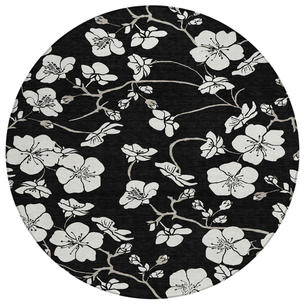 addison chantille acn1032 black rug