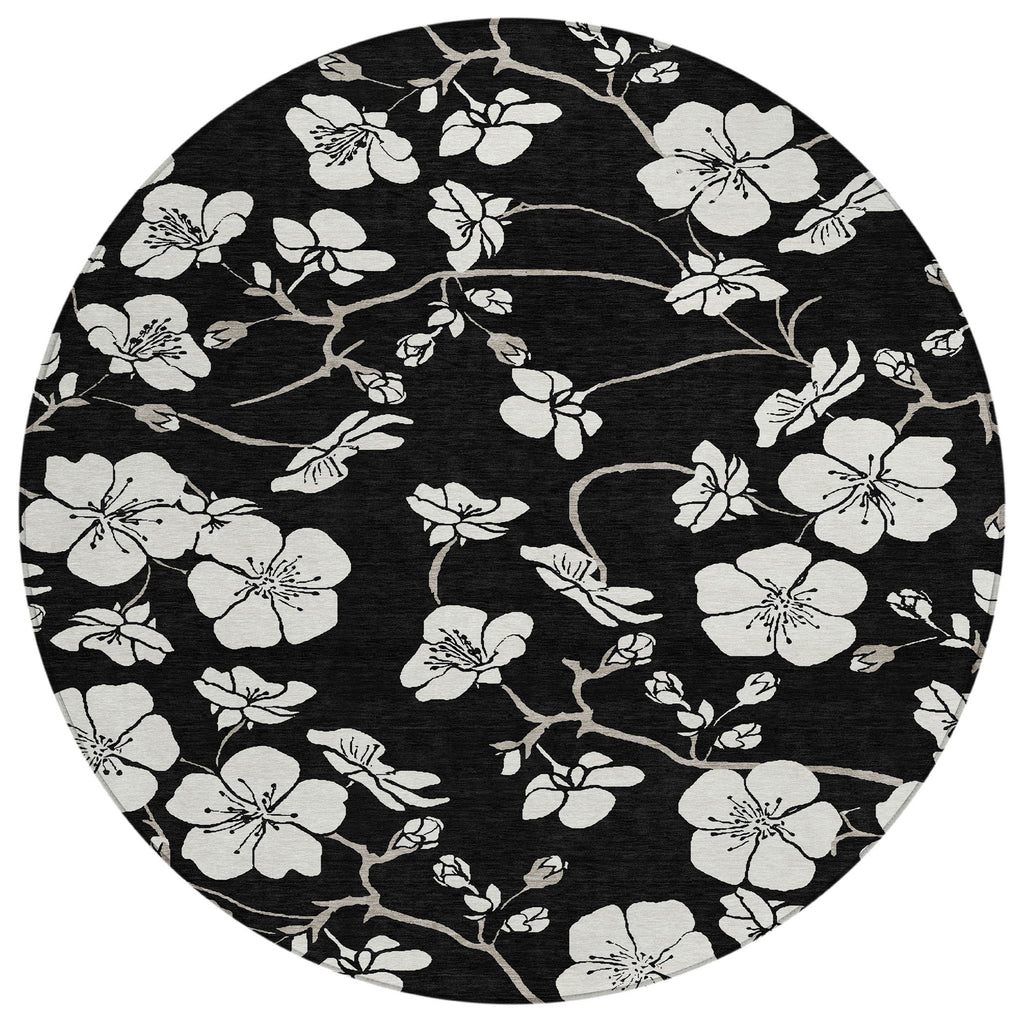 addison chantille acn1032 black rug