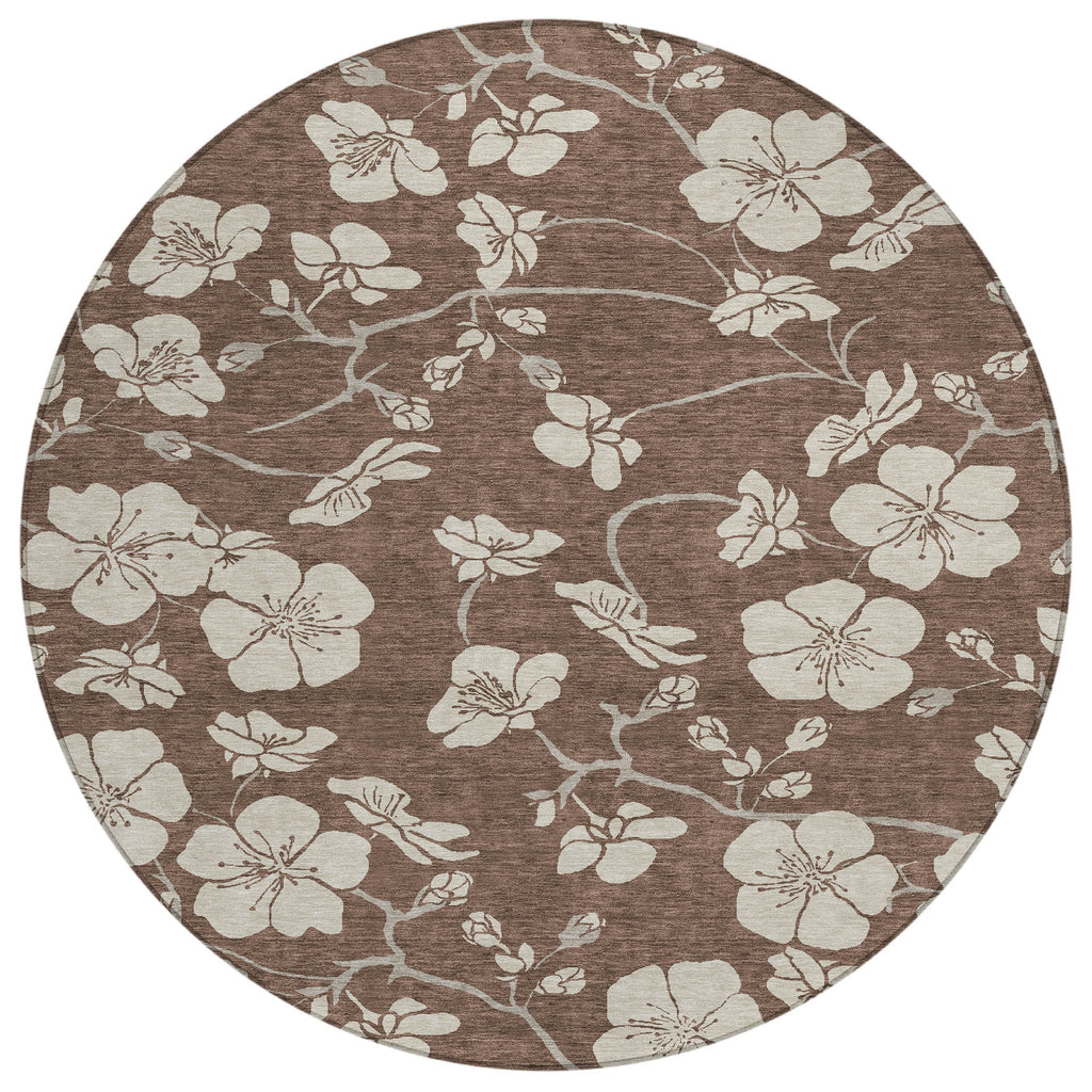 addison chantille acn1032 brown rug