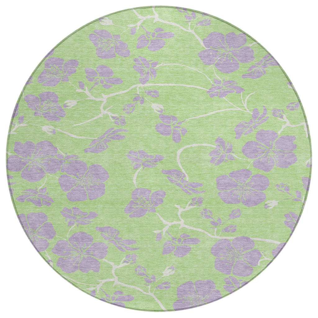 addison chantille acn1034 mint rug