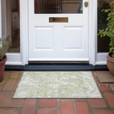 addison chantille acn1035 aloe rug