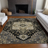 addison chantille acn1036 black rug