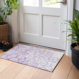 addison chantille acn1049 lavender rug