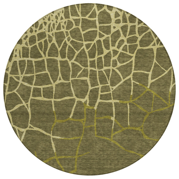 addison chantille acn1049 olive rug