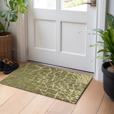 addison chantille acn1049 olive rug