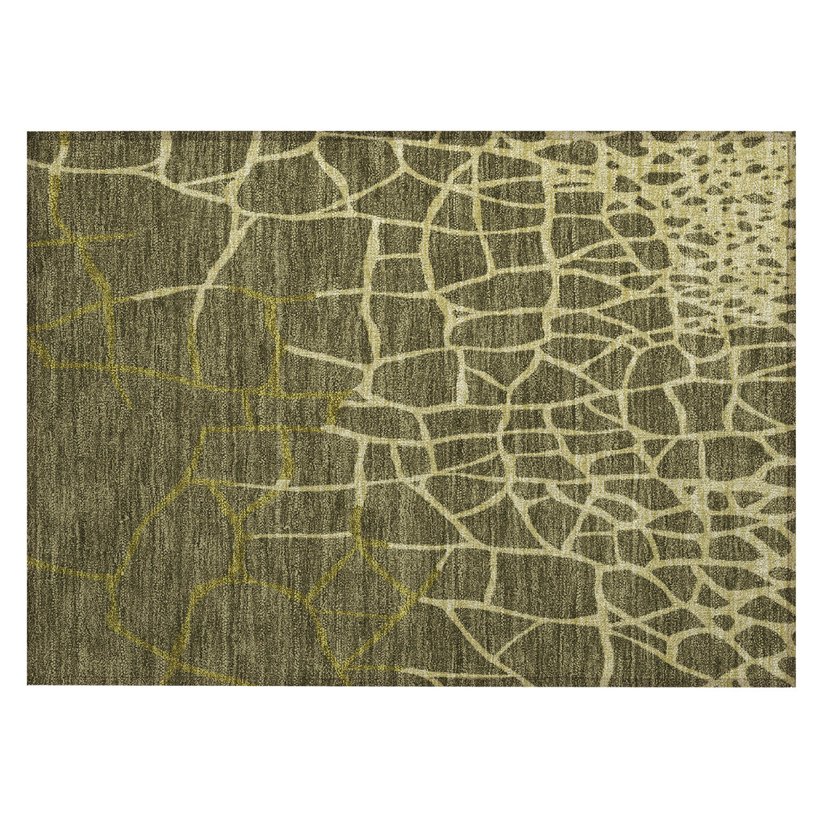 addison chantille acn1049 olive rug