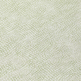 addison chantille acn1058 aloe rug