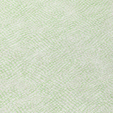 addison chantille acn1058 mint rug