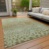 addison chantille acn1074 aloe rug