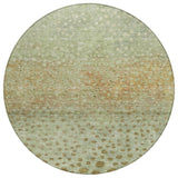 addison chantille acn1074 aloe rug