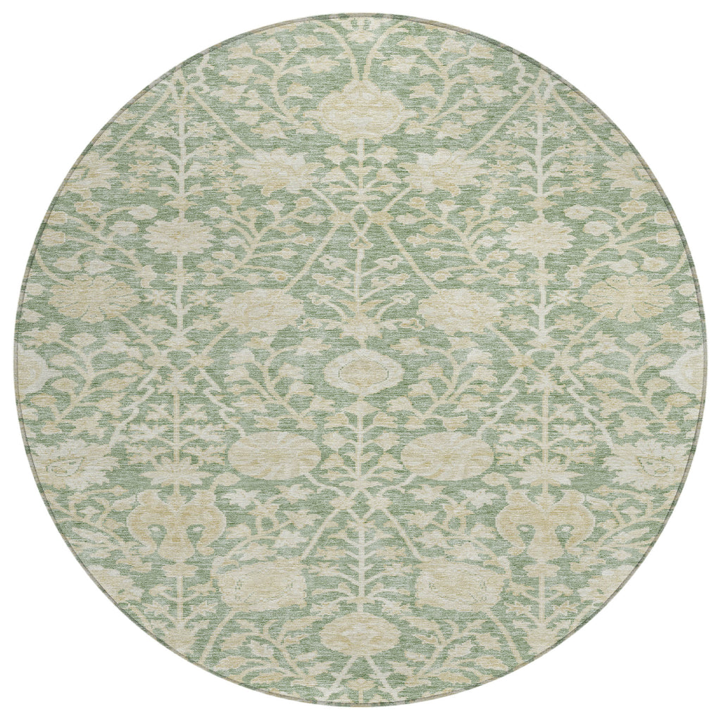 addison chantille acn1086 aloe rug