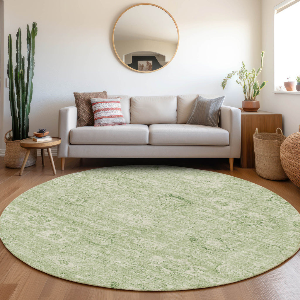 addison chantille acn1089 aloe rug