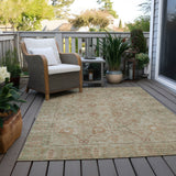 addison chantille acn1106 beige rug