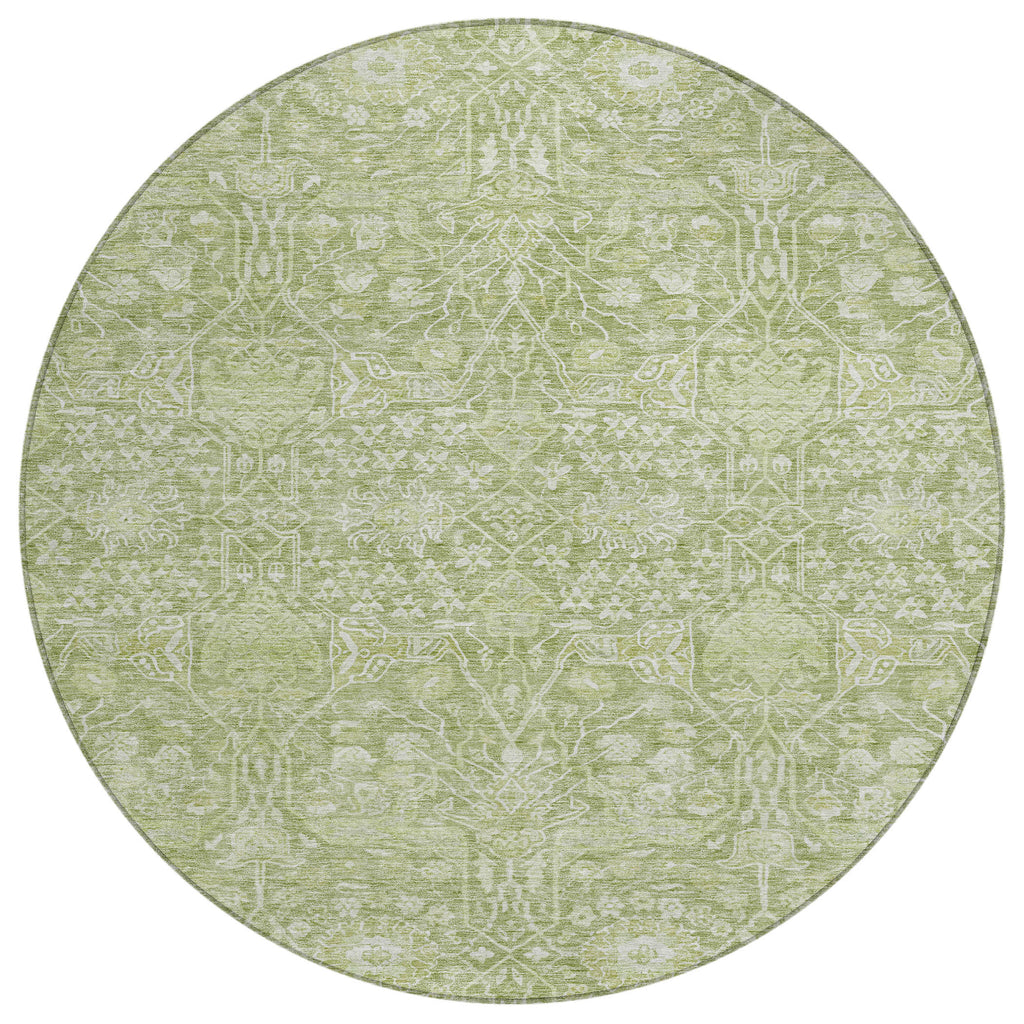 addison chantille acn1133 aloe rug