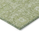 addison chantille acn1133 aloe rug