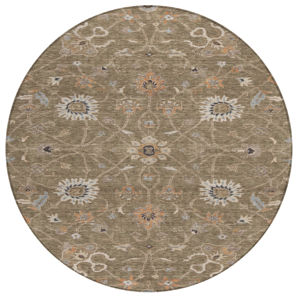 addison chantille acn1137 brown rug